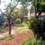 giardino6